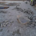 WhatsApp Image 2025-11-14 at 10.11.06